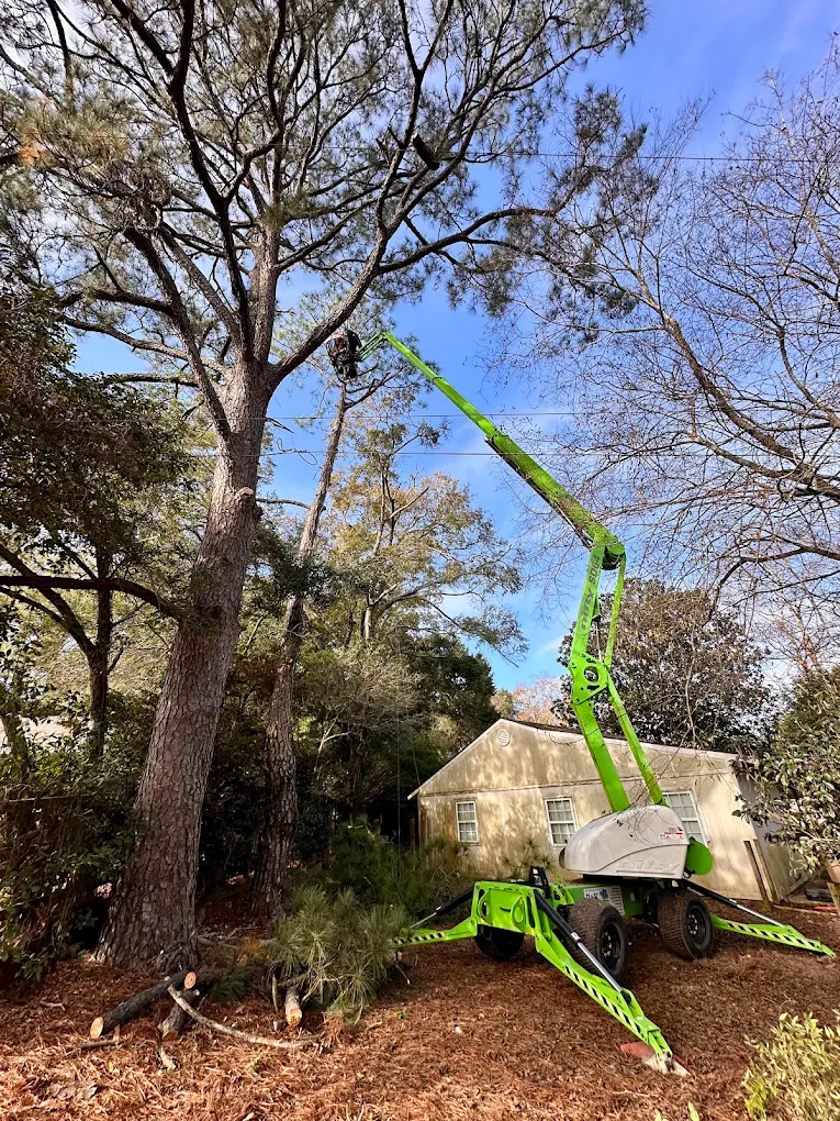 R&K Tree Service & Landscaping, LLC
