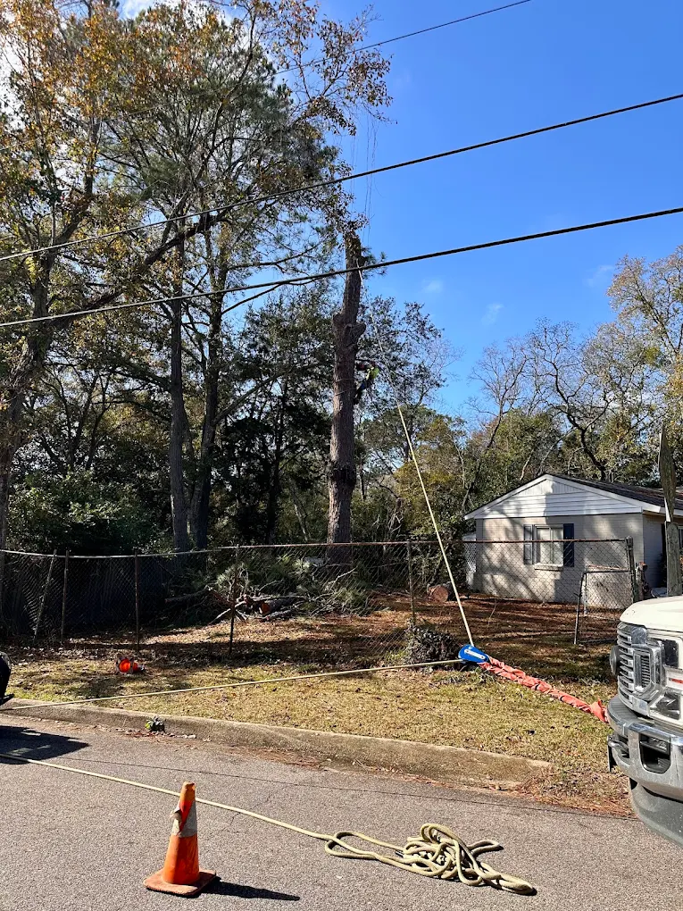 R&K Tree Service & Landscaping, LLC