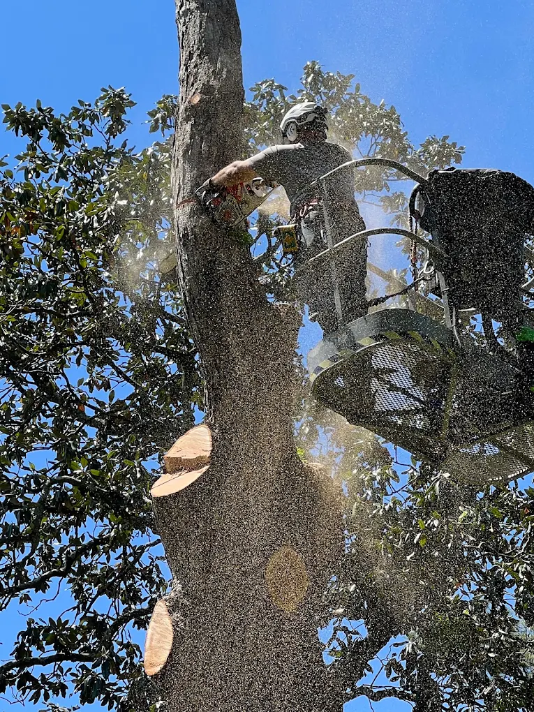 R&K Tree Service & Landscaping, LLC